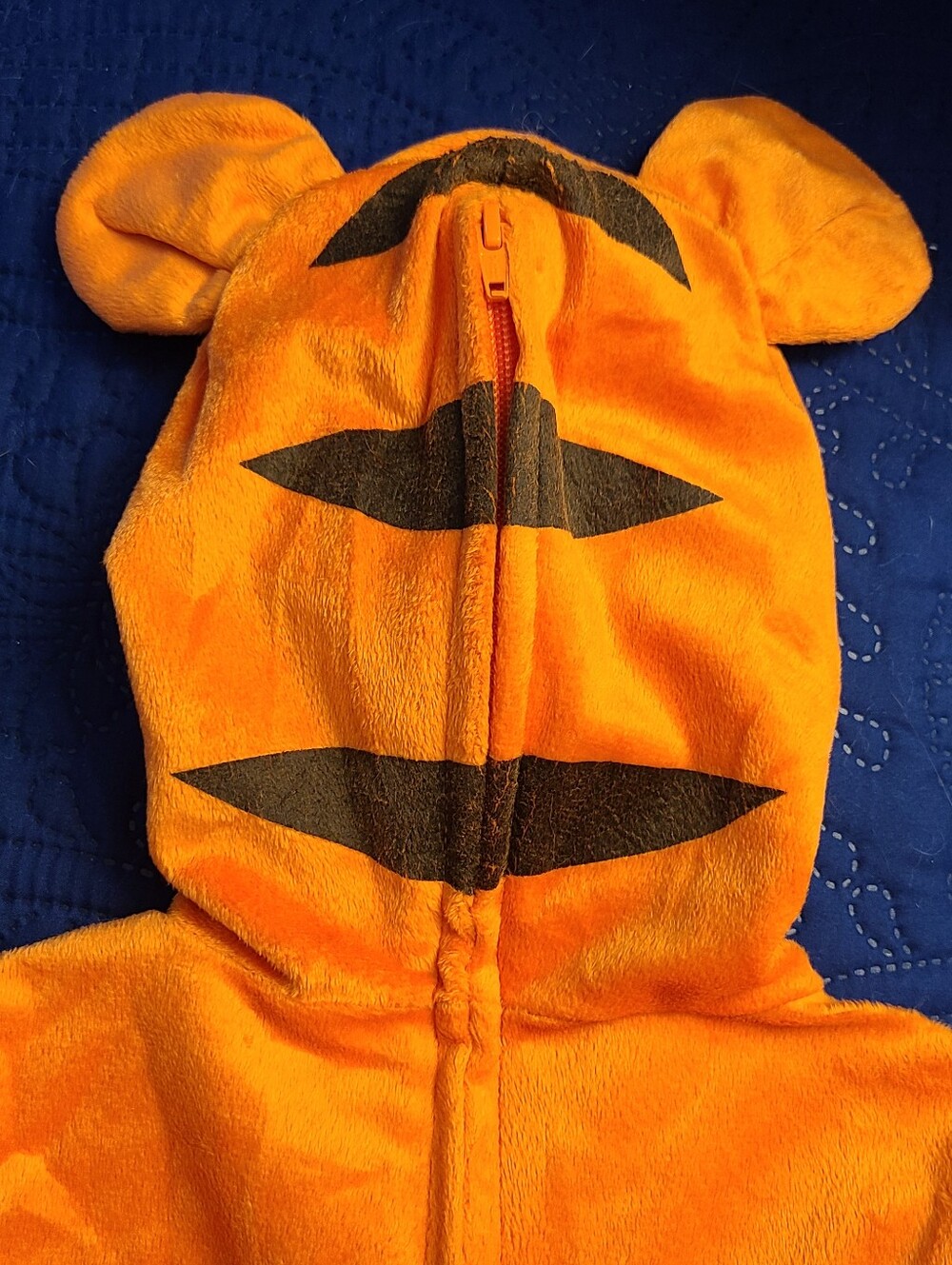 Toys R Us Disney Tigger Plush Baby Costume 9-12M Winnie the Pooh Halloween - Picture 4 of 8